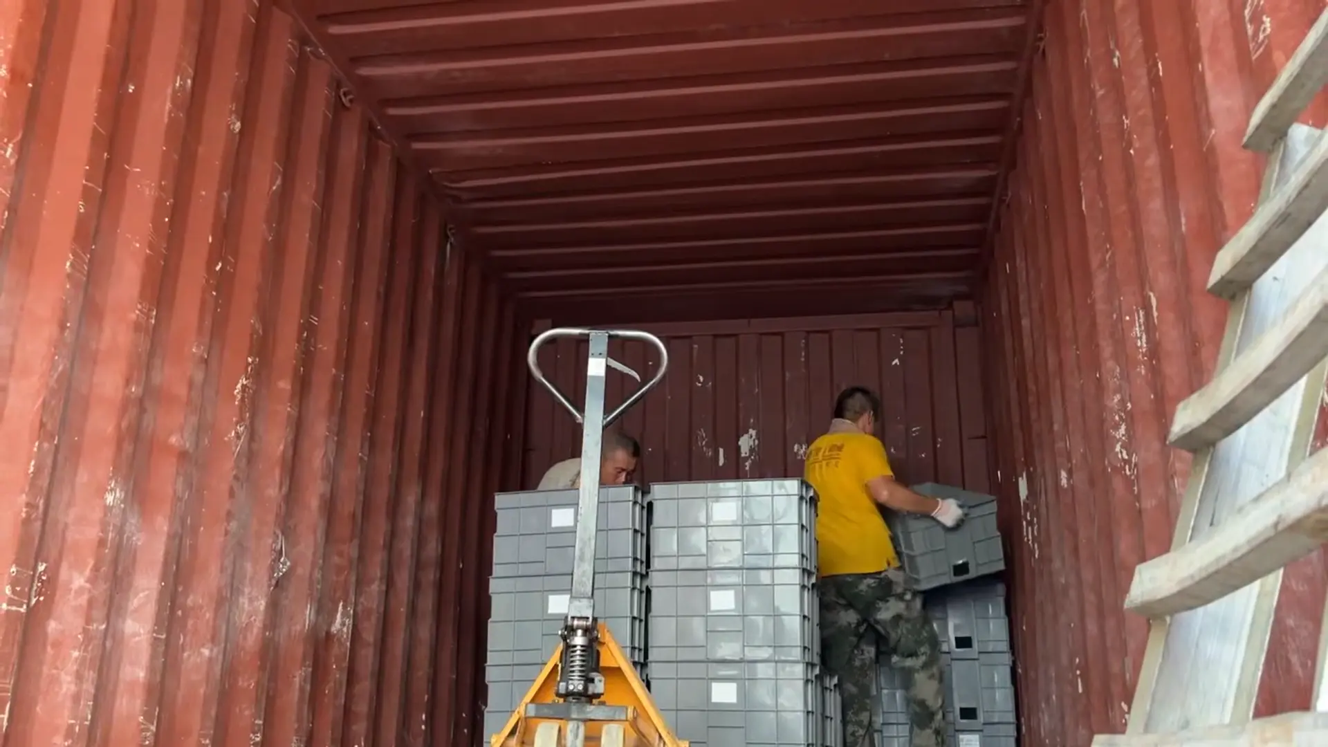 C Curve Miniature Circuit Breaker